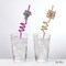 Rite Lite Set of 4 Purple and Brown Unique Holiday Passover Sipping Straws, 10.25"